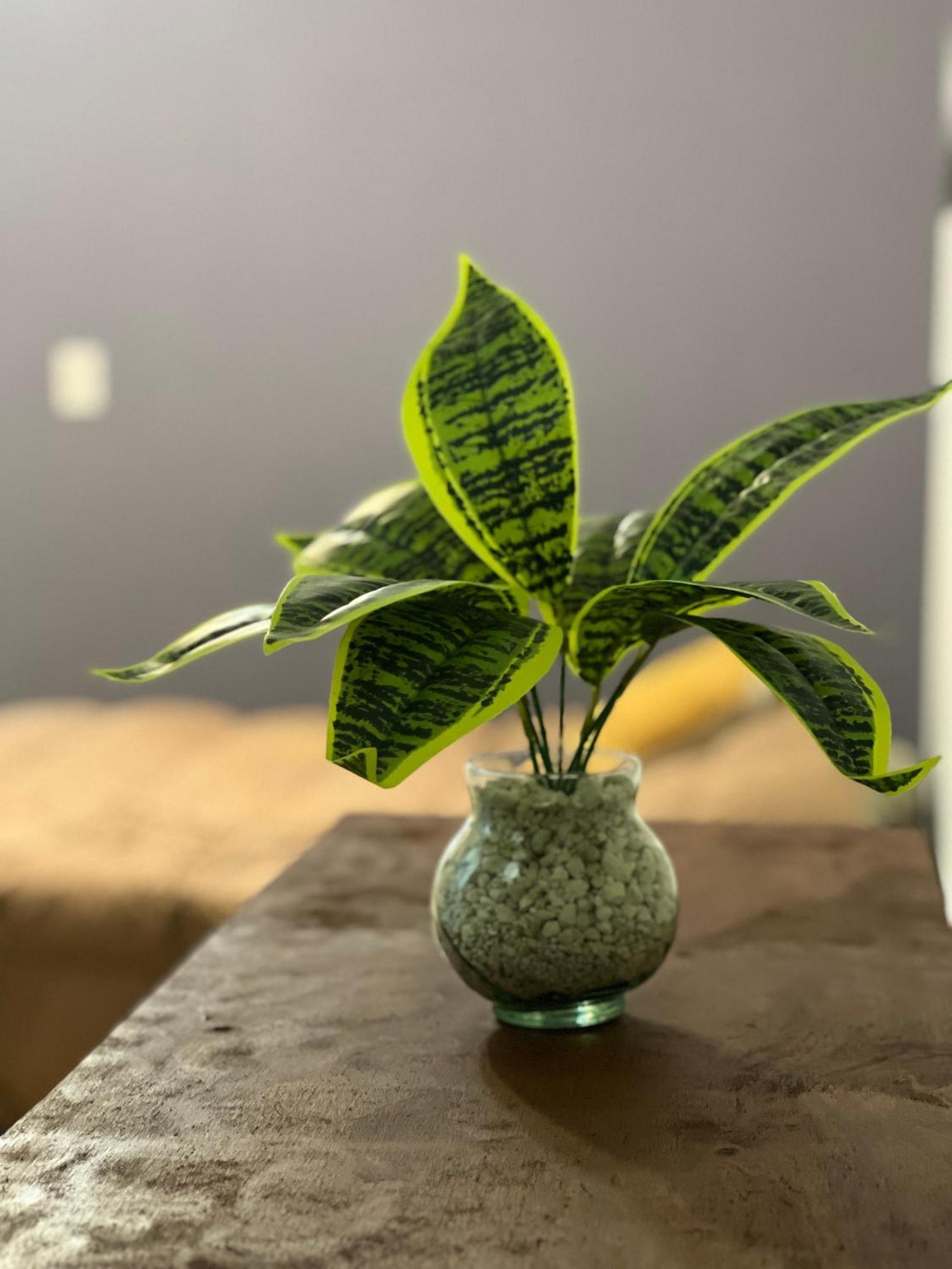 Apartamento Departamento En Muy Buena Ubicacion